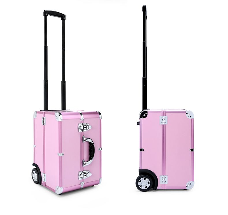 Compra Bolsas De Cosméticos Con Ruedas, Caja De Maquillaje De Belleza, Caja  De Herramientas Para Uñas Nuevas, Caja De Carrito De Múltiples Capas De  PVC, Bolsa De Maleta Con Ruedas Rosa Para