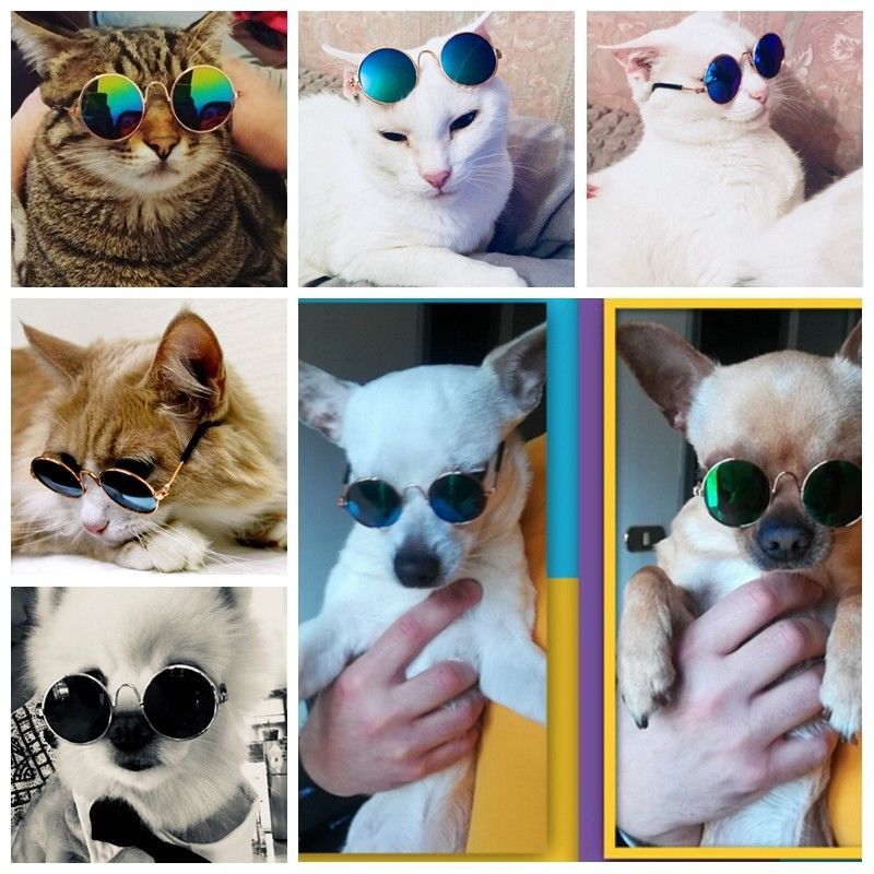 2019 Dog Cat Pet Glasses Sunglasses For Small Pet Little Dog Eye Wear