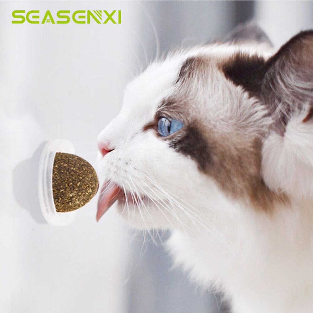 Acquista Giocattoli Catnip Naturali Gatti Giocattoli Pazzi Sani Del