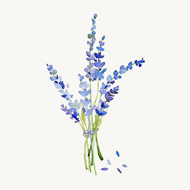 2019 Modern Minimalist Watercolor Flower Leaf Floral A4 Art Print