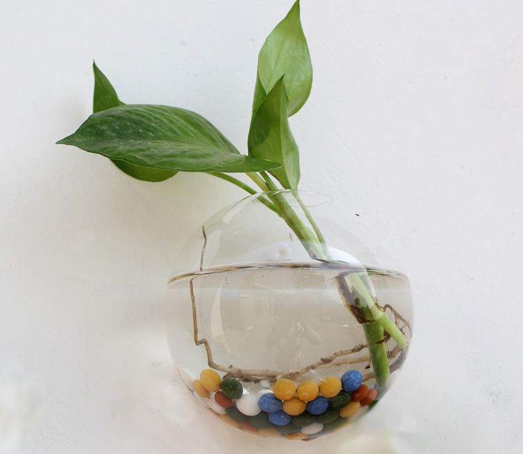 Transparent Circular Wall Hydroponic Vase Creative Hanging Wall
