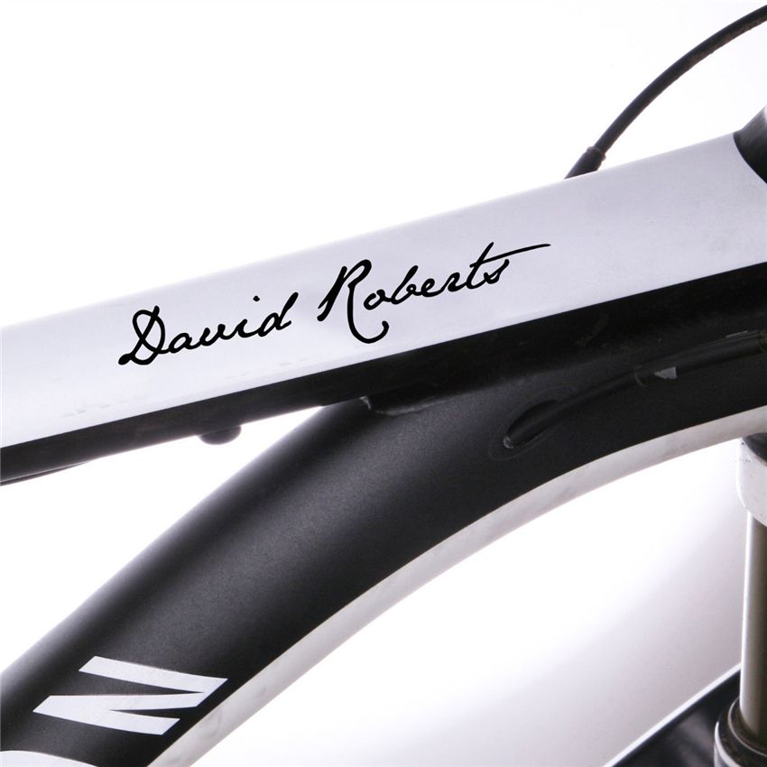 wtb carbon rims