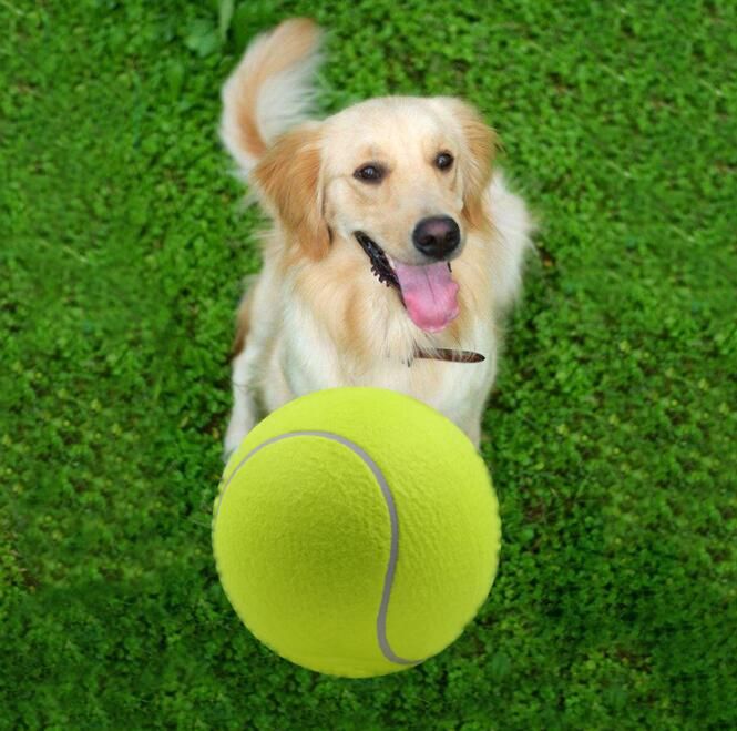 giant tennis ball dog toy