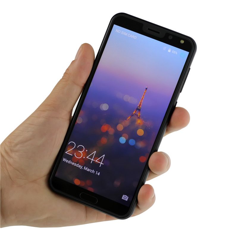 cellulari 5.5 pollici economici