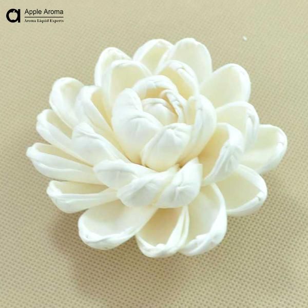 Gros Naturel Fait à La Main Sèche Fleur Pour Diffus Décoratif Séché Fleur Reed Diffus Fleur De Sola Nénuphar Sans Pistil