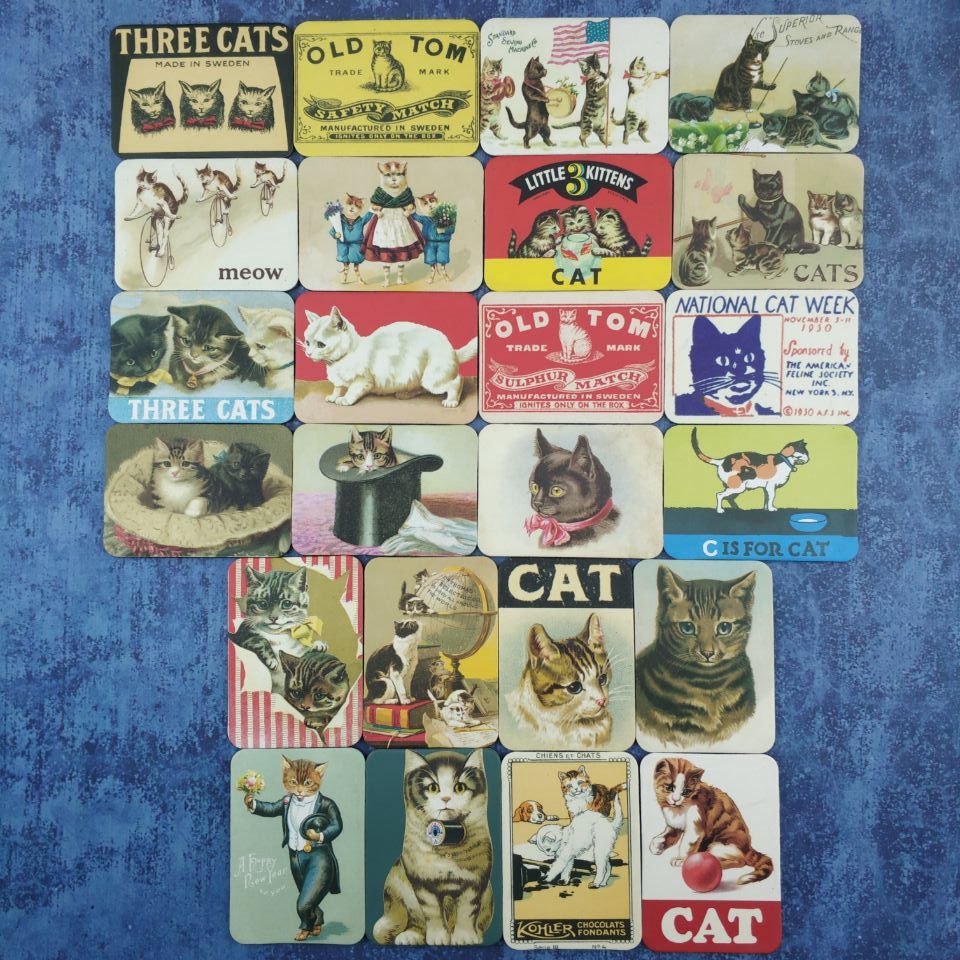 Funny kitten magnet on the fridge Funny kitten magnet on the fridge