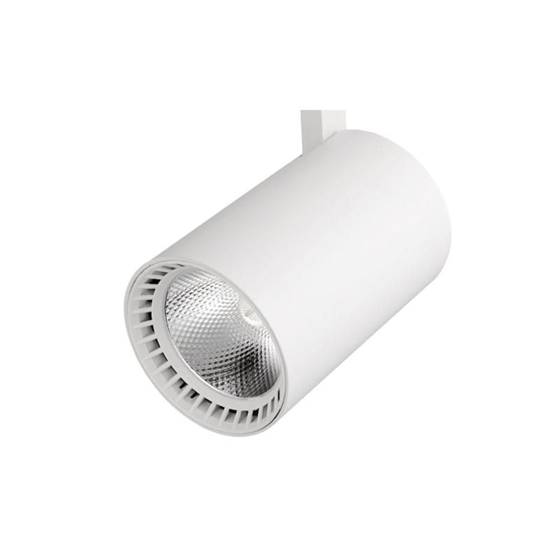 10w Ac 220v Clothing Restaurant Spotlight Flexible Light Fixtures Backlit Led Tv Track Hose Dining Room Lamp