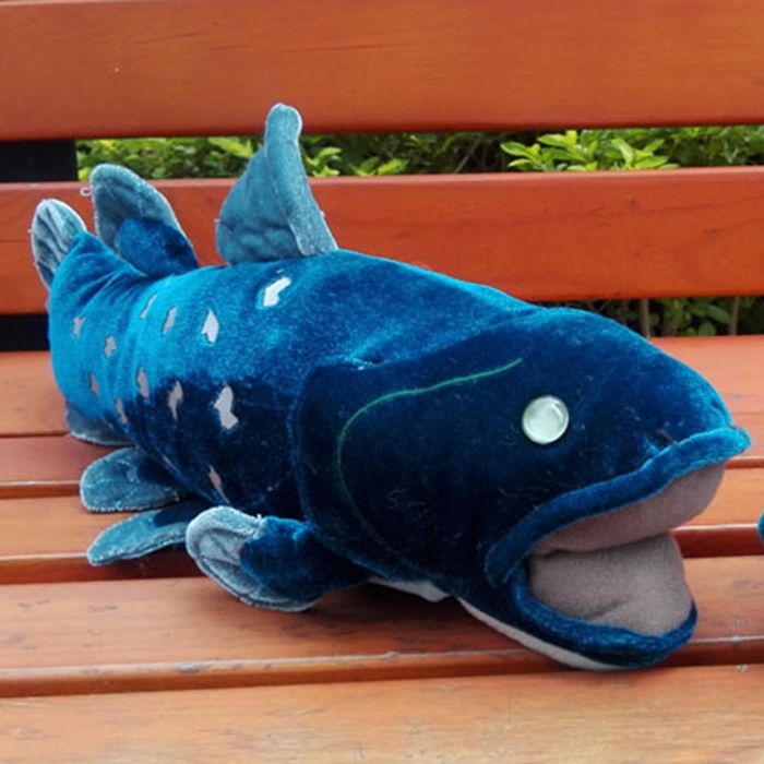coelacanth plush