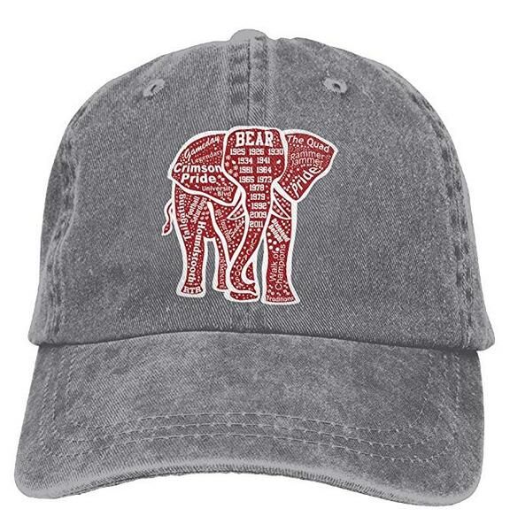 elephant hat