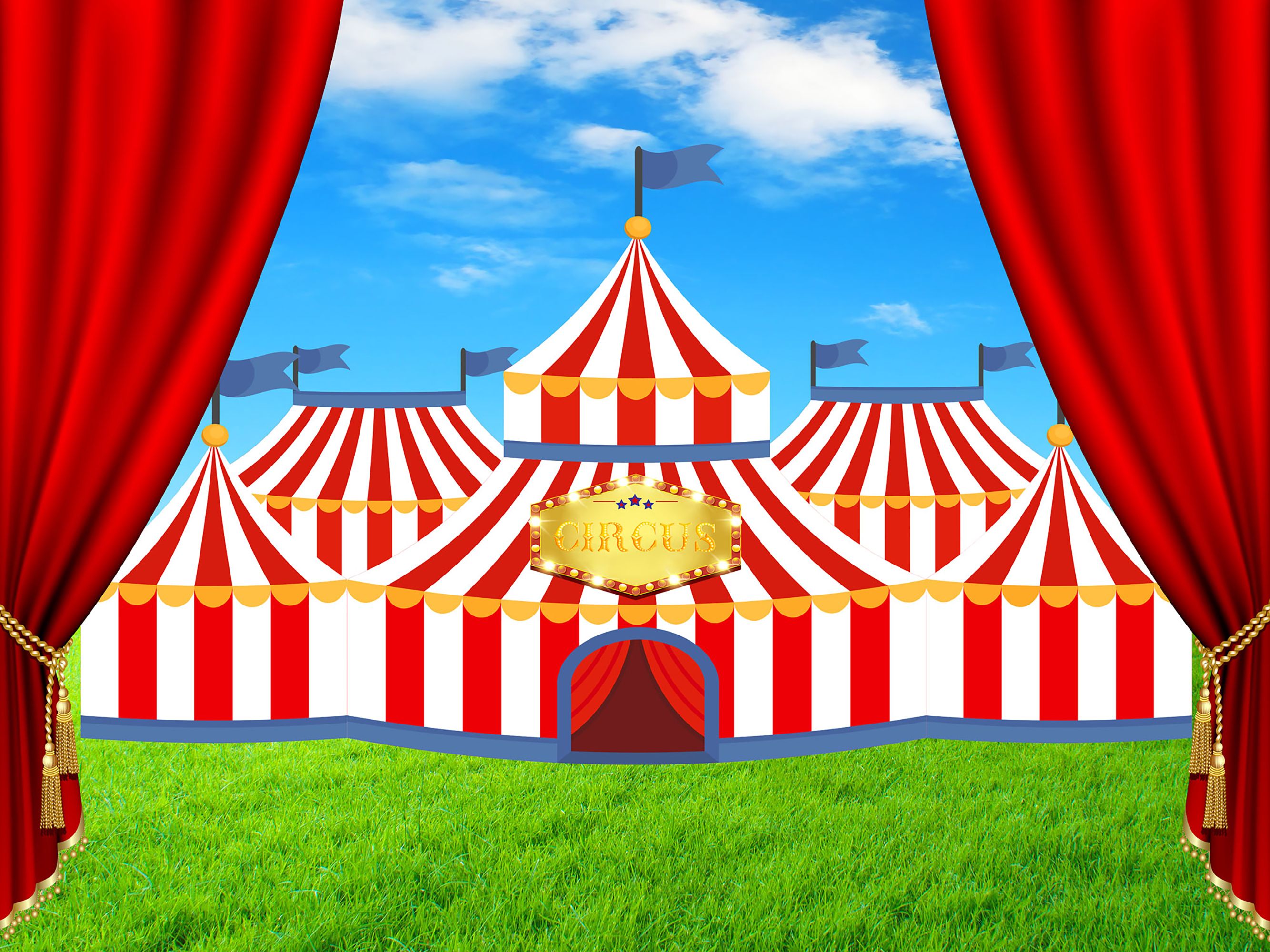 Carnival Circus Tent Red Curtain Vinyl Photography Backdrops White Clouds Green Grass Photo Booth Backgrounds For Children Birthday Studi