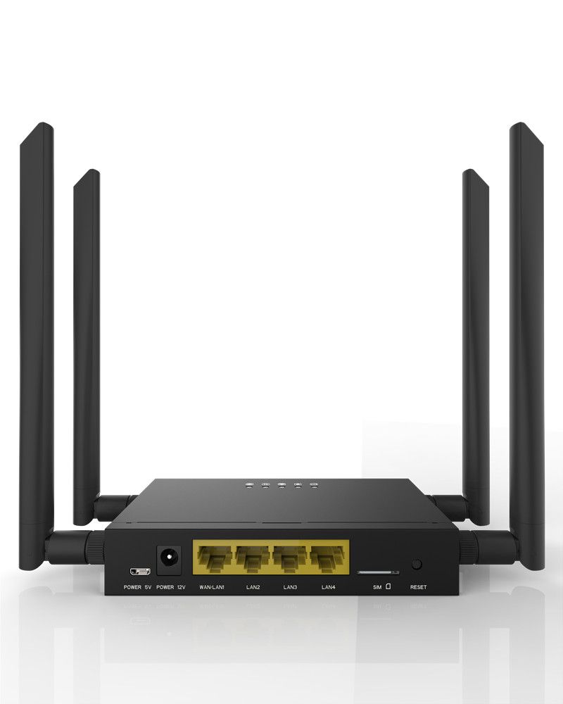 Commercial wireless router
