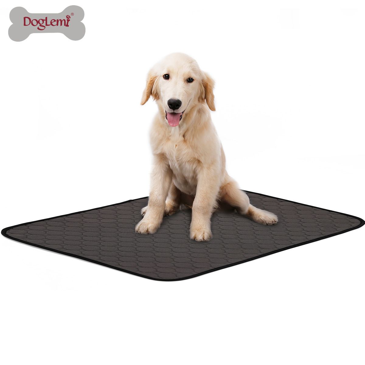 pet pee pads Pornstar fotos galleries