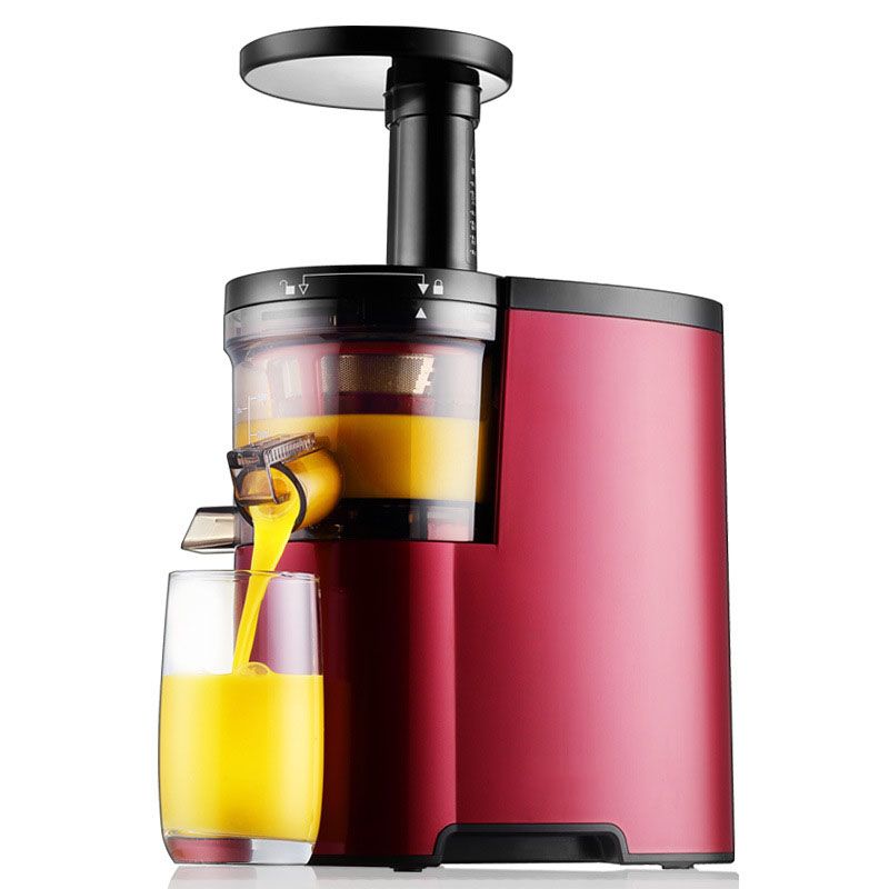 2021 New Germany Brand Slowly Juicer Electric Fruit Vegetable Citrus