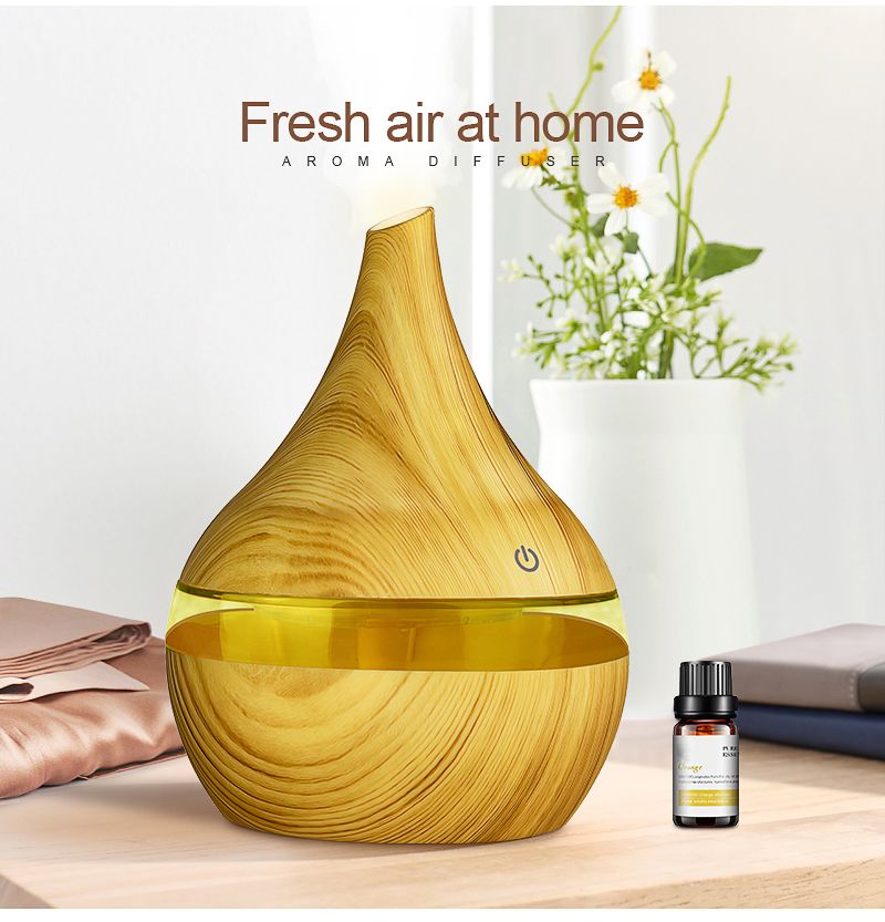 300ml USB Humidifier Aroma Diffuser Purifier Creative Electric Air