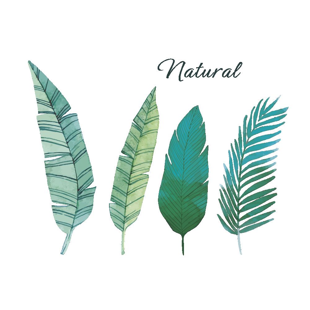 Green Plants Wall Decor Big Leaves Stickers For Kids Room Bedroom Living Home Poster Mural Wallpaper Decals