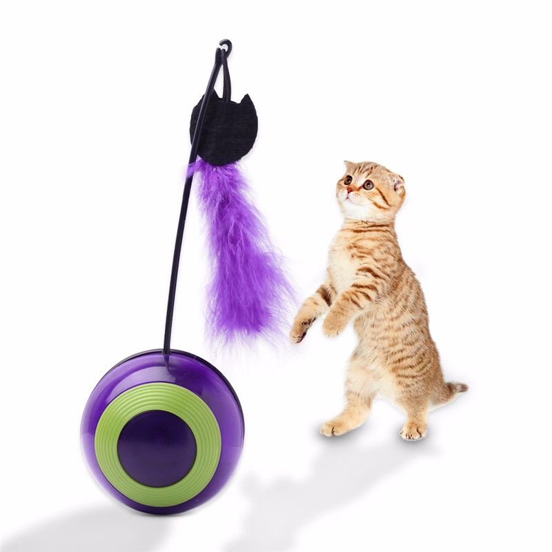 remote control cat toy ball
