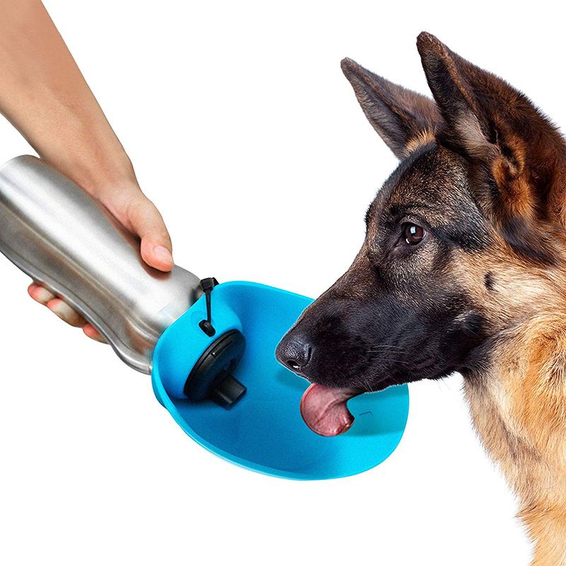 Portable Dog Water Bowl >> 20oz Stainless Steel Dog Drinking Bottle Outdoor Portable Puppy Pet Water Bottle For Walking Travel Dogs Water Bowl Portable Dog Water Bowl >> 20oz Stainless Steel Dog Drinking Bottle Outdoor Portable Puppy Pet Water Bottle For Walking Travel Dogs Water Bowl