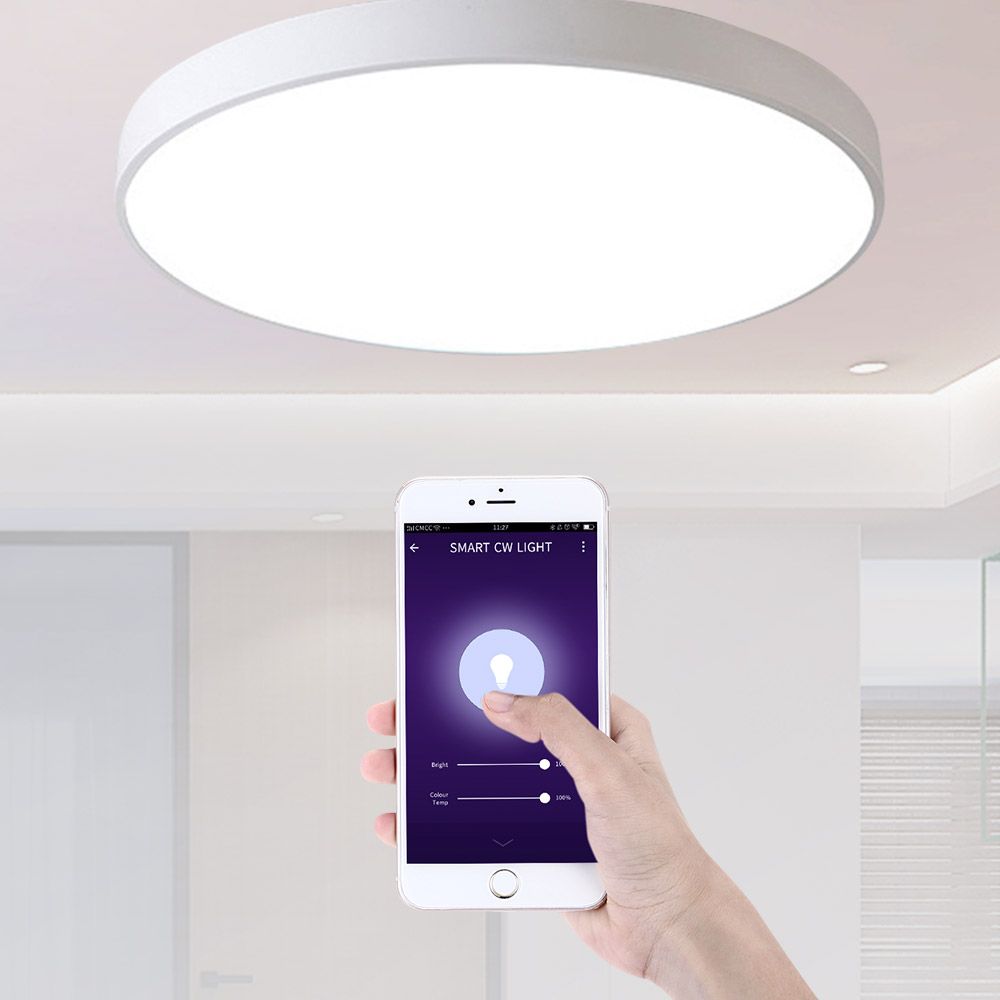 Smart LED Ceiling Light Voice Remote Control Lighting Fixture Modern