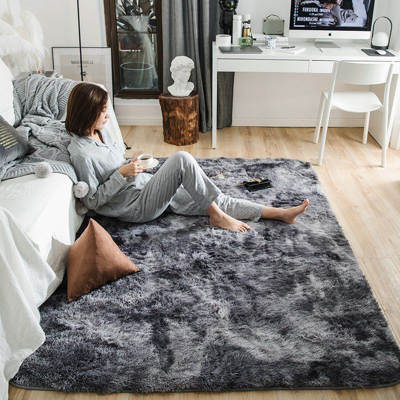 Motley Plush Carpets For Living Room Soft Fluffy Rug Home ...