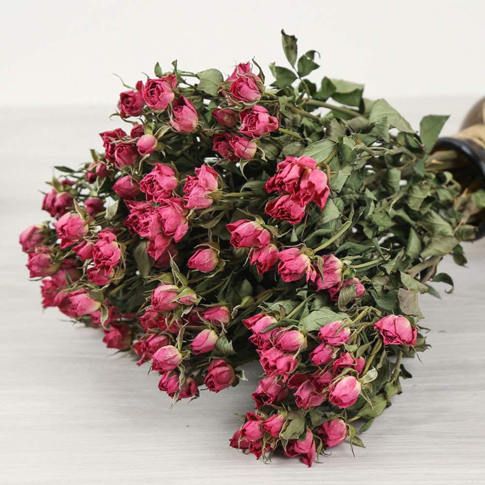 Tooget Naturel Rose Fleurs Séchées Rose Bouquet De Faisceaux Bouquet De Fleur Sèche Fraîchement Récolté Bricolage Artisanat Cadeau