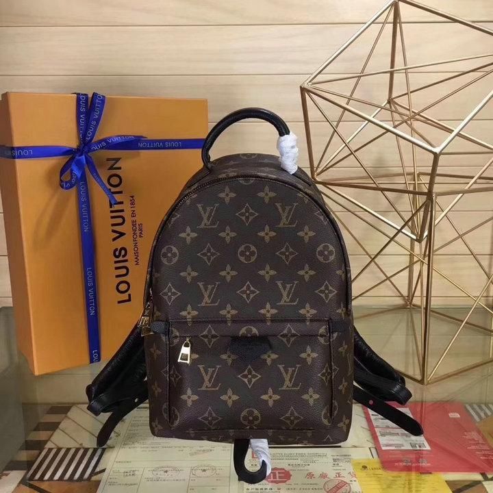 Most Expensive Lv Backpack Mod