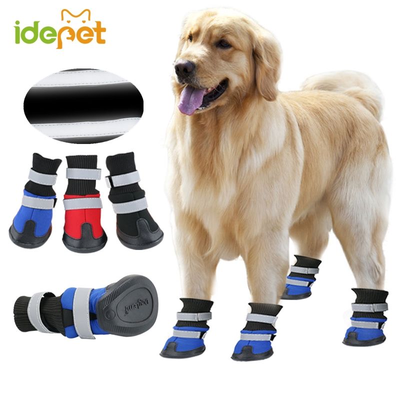 Botas Para De Aire Retriever Primavera Grandes Grande Medianos Libre Antideslizantes Perro Perros Al Golden Reflectantes Zapatos CsxhdtQrBo