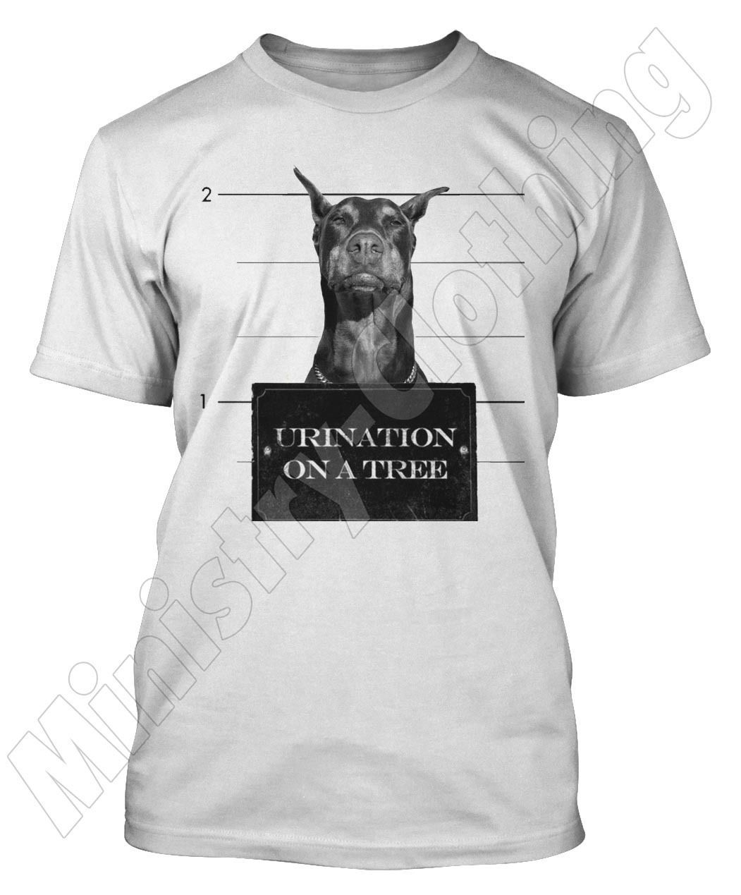 doberman in a shirt