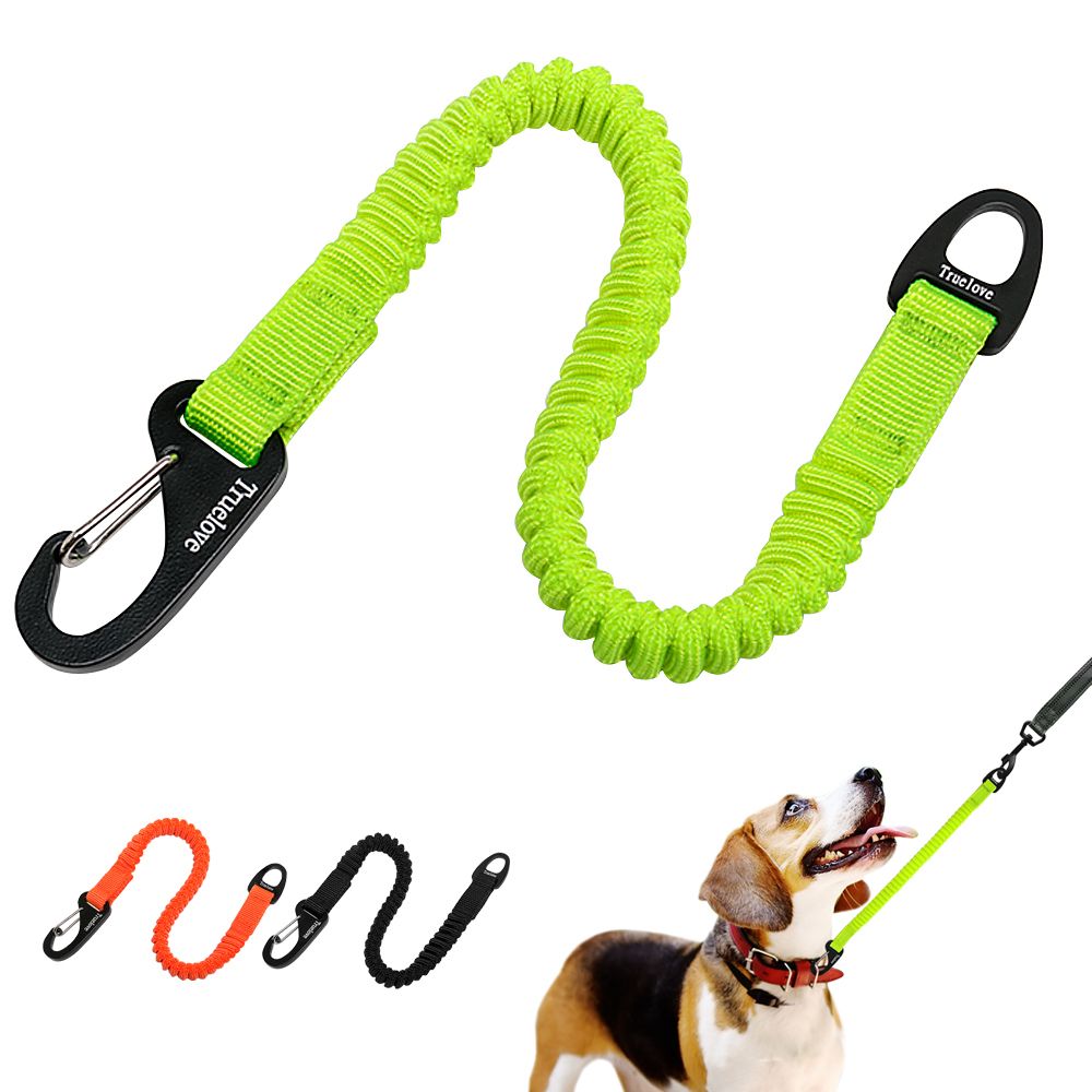 2021 Short Bungee Dog Leash Elastic Bungee Buffer Dog Leash Nylon