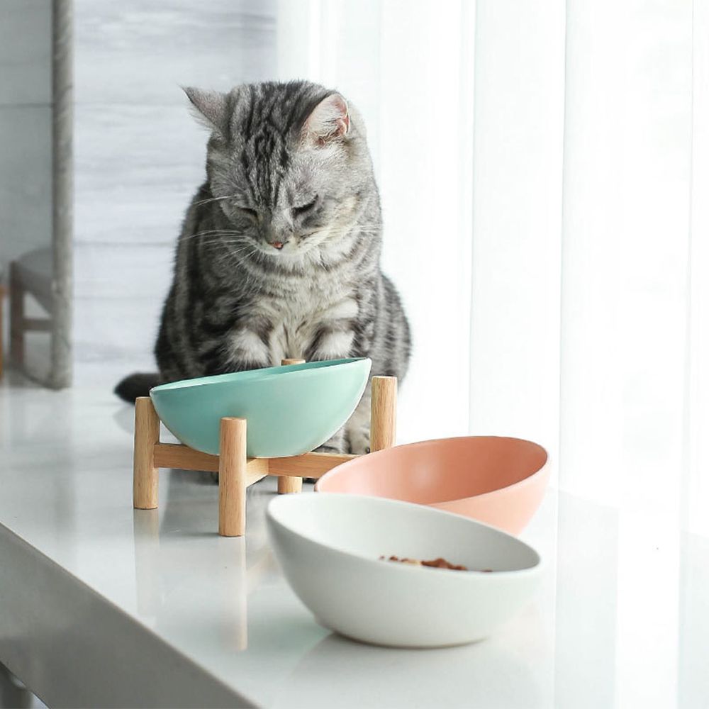 2021 Ceramic Tilted Elevated Raised Pet Bowl With Wood Stand For Cats