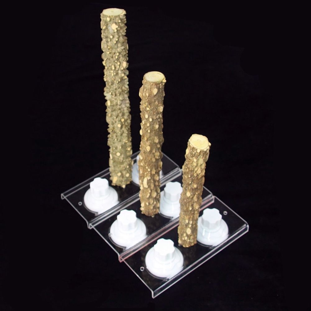 2020 Log Stick Parrot Out Portable Pepper Wood Stand Car 