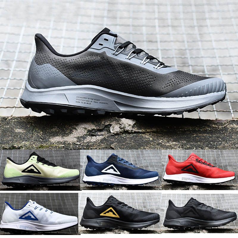 pegasus 36 vs vomero 14