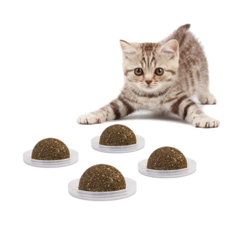 2021 Cat Solid Catnip Treat Ball With Nourishes Inside Nutrition Gel