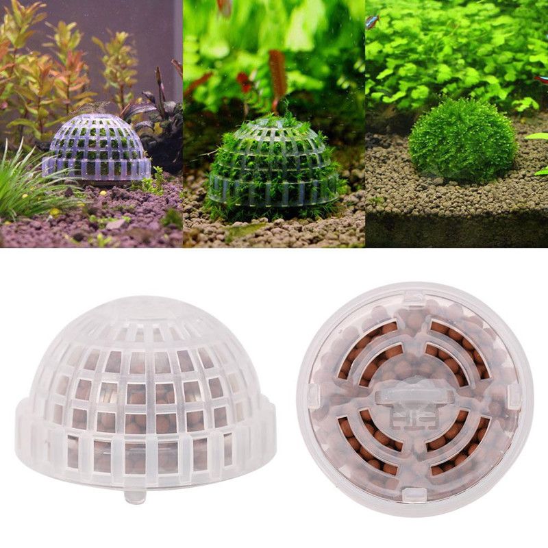 2019 /DIY Aquarium Biological Filter Simulation Live Plant Moss Ball Holder Moss Christmas Tree 2019 /DIY Aquarium Biological Filter Simulation Live Plant Moss Ball Holder Moss Christmas Tree