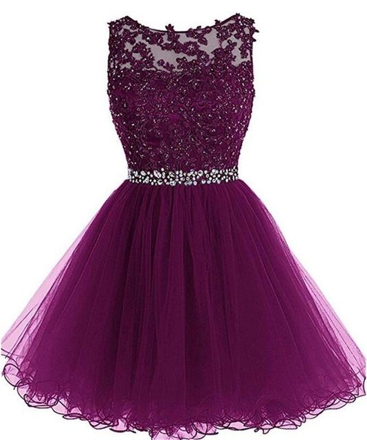 Elegant Crew Neck Lace A Line Homecoming Dresses Tulle Applique Beaded ...