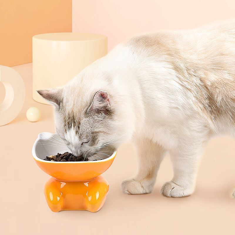 2020 Ceramic Raised Cat Food Bowl, Slanted Cat Dish, Tilt Angle Protect