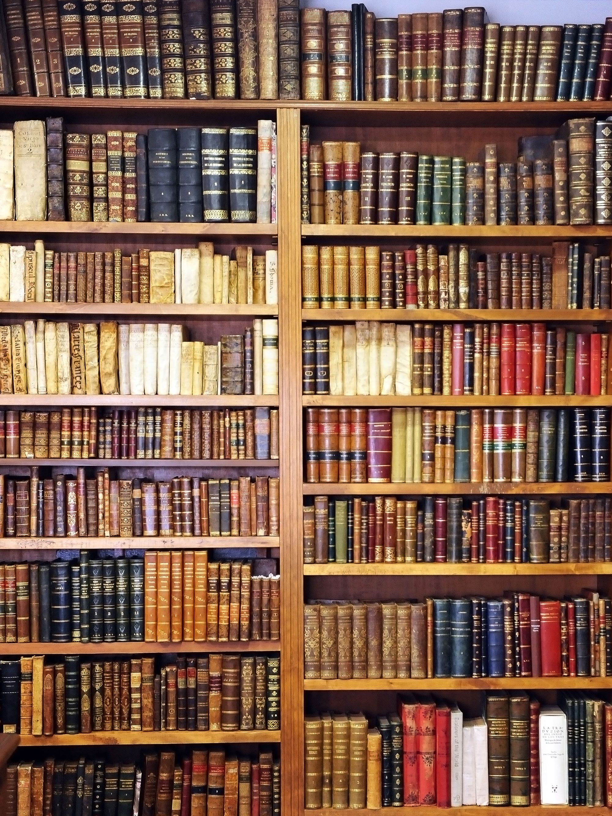 2021 Retro Bookshelf Library Vinyl Photography Backdrops Seamless Photo