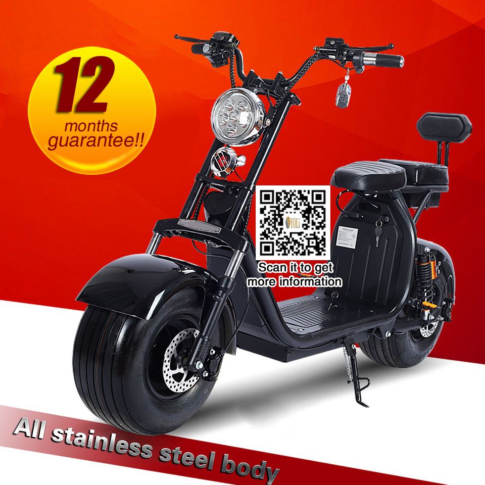 2020 9.5 Inch Vaccunm Fat Tire Electric Bicycle Bike 1500W Motor Front
