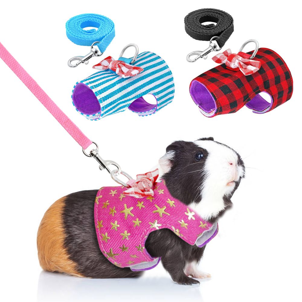 2021 Small Pet Harness And Leash Set Rabbit Harness Leash Kitten