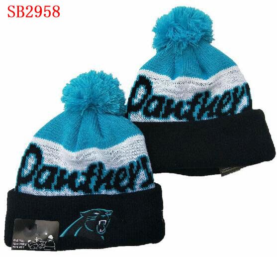 panthers crucial catch hat