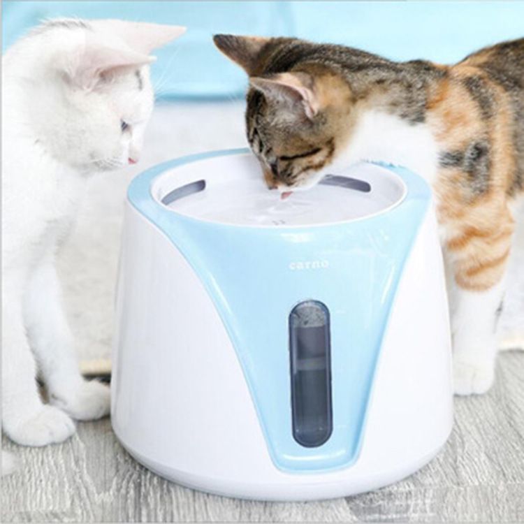 2019 2l Automatic Cat Water Feeder Pets Dogs Feeding Bottle 2019 2l Automatic Cat Water Feeder Pets Dogs Feeding Bottle One Touch Waterproof On Outdoor Kitten Drinker From Prime 06