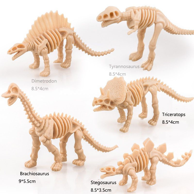 Dinosaurier-KnochenGute Eröffnungsfrage online datieren