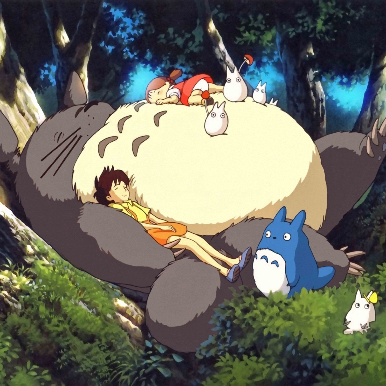 My Neighbor Totoro Decor Art Silk Print Poster 24x24inch Kitchen Wall