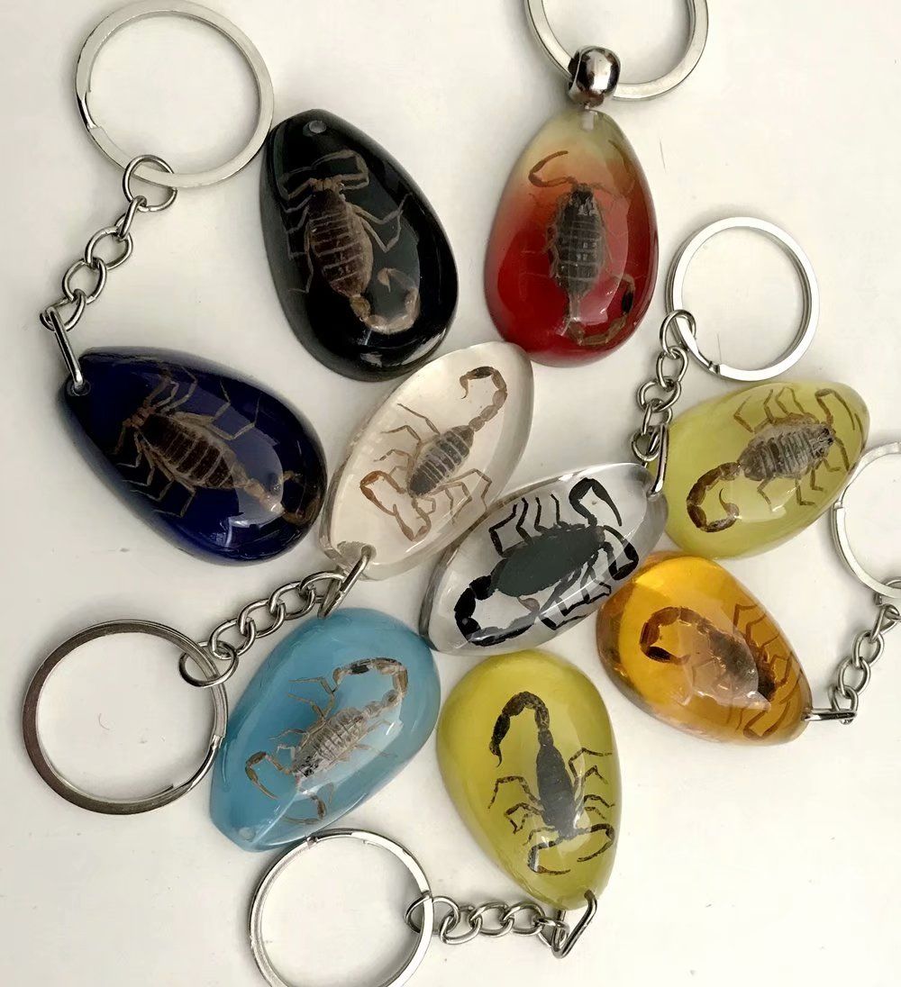 12 pcs KeyChain Scorpion Design Specimens Magic Jewelry