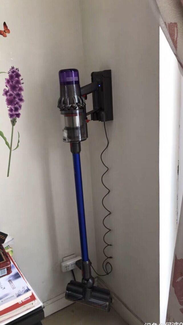 paso Gran cantidad Elegante dyson v11 fiyat dominio Limitado novato