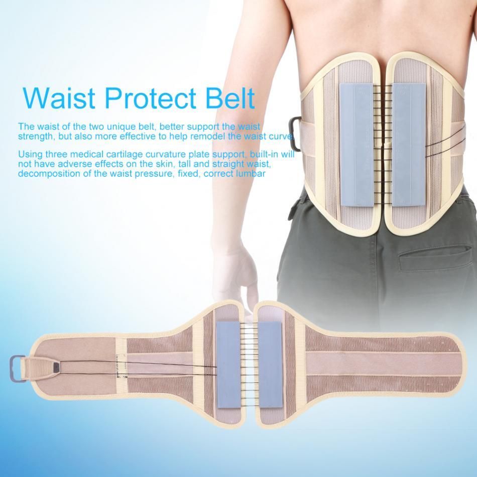 protector waist support adjustable