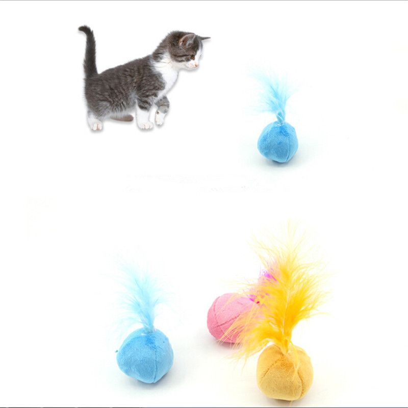 catnip cat toys sound