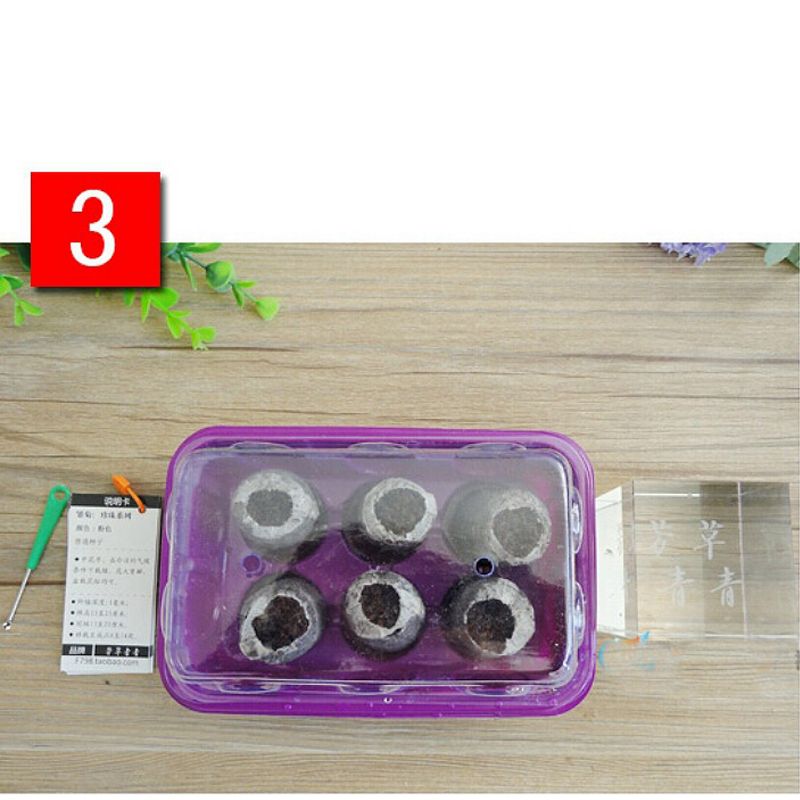 2020 30mm Jiffy Peat Pellets Seed Starting Plugs Seeds Starter Pallet