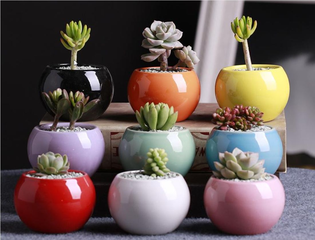 2019 Wholesale Ceramic Pots Succulents Flower Pot Small Ball Round White Porcelain White Color