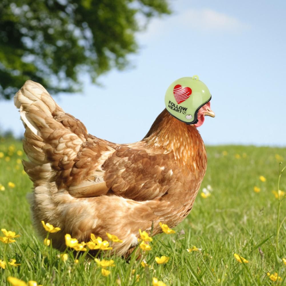 2021 Pet Helmet Funny Protective Chicken Helmet Hen Hard Bird Hat