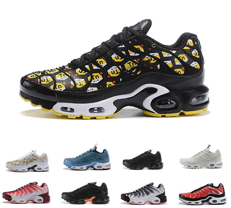 airmax tn 2019